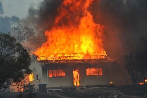 Bendigo residents fighting fires.