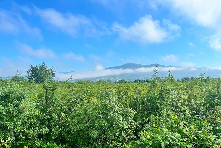 Vreme frumoasă și temperaturi în creștere în județ. Ceață pe văi în orele dimineții