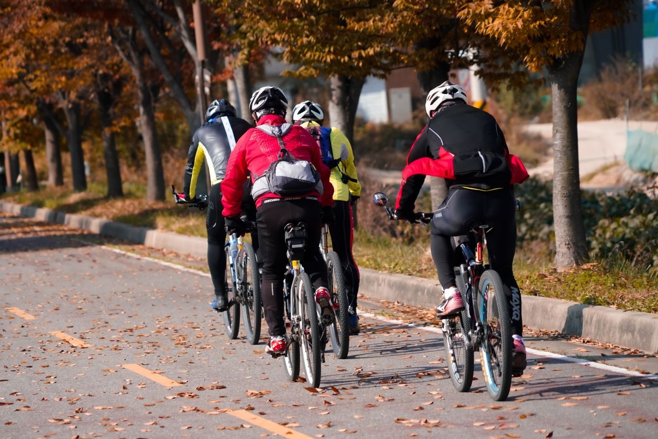 Bike fitting: poziția corectă pe bicicletă și diferența dintre tură plăcută și disconfort