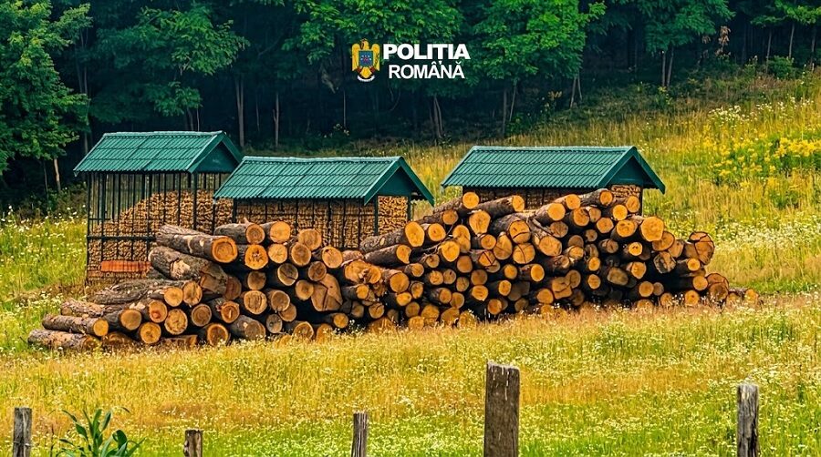 2-politia-lemn-confiscat-3-iulie-2026