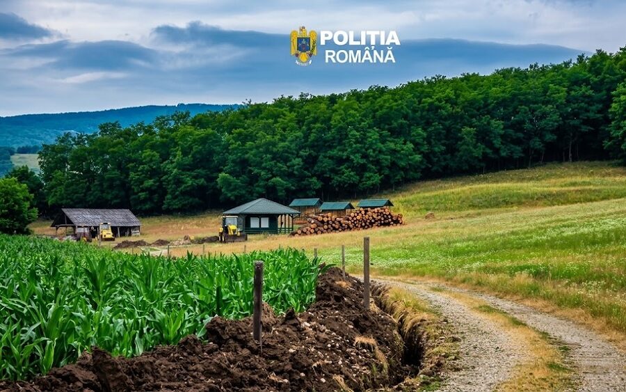 Aproximativ 70 de metri cubi de lemn, indisponibilizați de polițiști în Maramureș. Dosar penal pentru transport fără proveniență legală