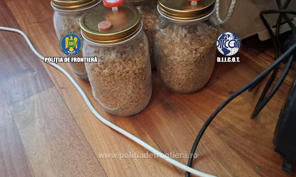 Trei persoane cercetate pentru trafic de droguri de mare risc, în urma unei acțiuni comune a polițiștilor de frontieră și procurorilor DIICOT